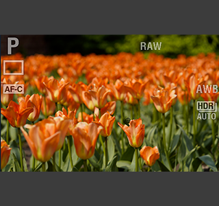 Bildschirmfoto%202020 10-02%20um%2012.07.35